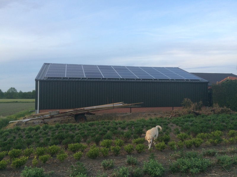 Afbeeldingslocatie: https://tweakers.net/i/WFC9TaL1Tn4ZjYazJeii8Q1-qbc=/800x/filters:strip_icc():strip_exif()/f/image/9AZackG4zTCfNXTmMQtryOr7.jpg?f=fotoalbum_large