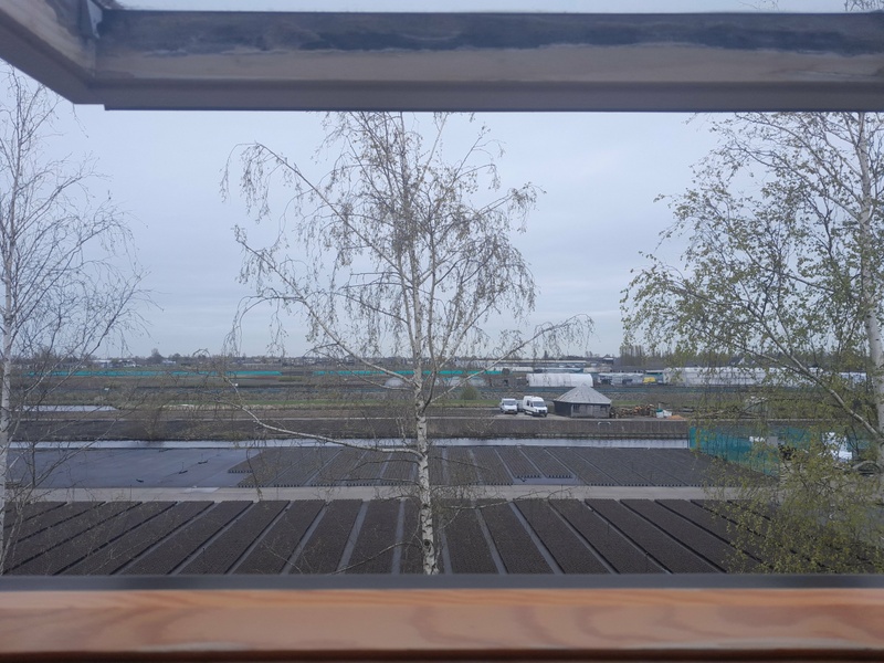 Afbeeldingslocatie: https://tweakers.net/i/WHuqbW8KpK_JLFue0SfKF4ehudI=/800x/filters:strip_icc():strip_exif()/f/image/pQ5x0glBbJoU4JYOg1KANOqd.jpg?f=fotoalbum_large