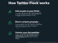 Twitter Flock
