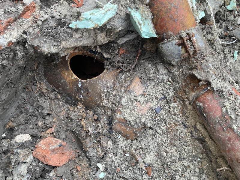 Afbeeldingslocatie: https://tweakers.net/i/WIf7URXN6BVD3AUWobVXtok5dbI=/800x/filters:strip_icc():strip_exif()/f/image/iLIT7SBvlJLkjYfk1ECwns4S.jpg?f=fotoalbum_large