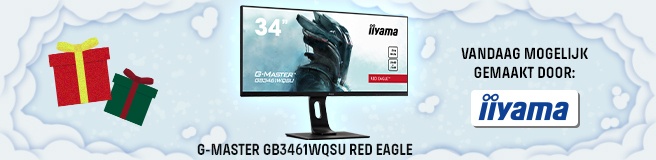 IIYAMA DPP 2021