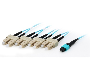 Equip MTP/SC Trunk Fiber Patch Cord, OM4 M/M 3M, 10m