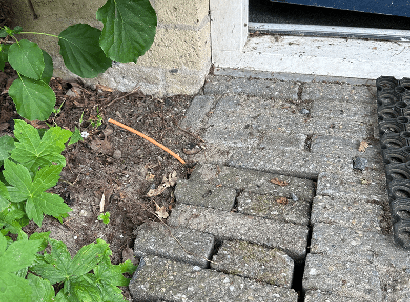 Afbeeldingslocatie: https://tweakers.net/i/WK2h9EYyEFSdqTynpMEVzczdTMM=/800x/filters:strip_exif()/f/image/JPcMYlsHhfNJ84kXm8kRWpcp.png?f=fotoalbum_large