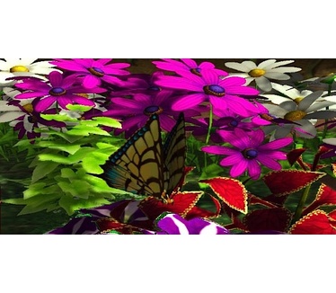 My Garden