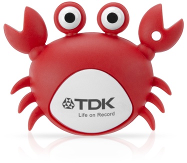 TDK 8GB