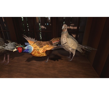 Hunting Simulator