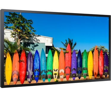 Samsung 55" Window Signage OMB 4K