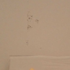 Afbeeldingslocatie: https://tweakers.net/i/WPvxzQ_M8XHTI3vBx4rPPpz5S8w=/232x232/filters:strip_icc():strip_exif()/f/image/ULAY5Wbffj6XD5mcyRwwEaOp.jpg?f=fotoalbum_tile