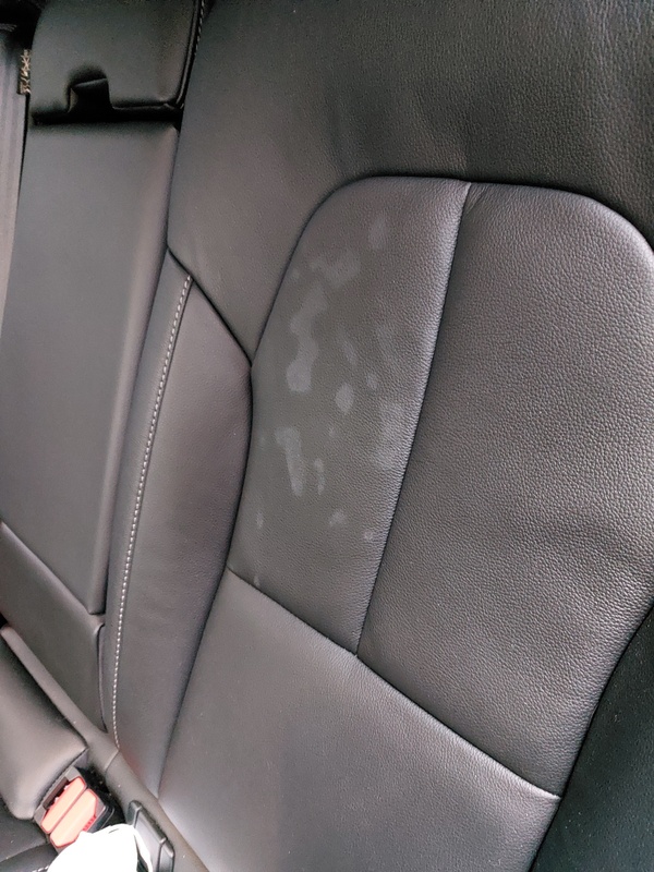 Afbeeldingslocatie: https://tweakers.net/i/WRylfPjk-8rvXzxIiGUdJrPYnVQ=/x800/filters:strip_icc():strip_exif()/f/image/BaDoUSopyEx6HpnD9Z0bMLQq.jpg?f=fotoalbum_large