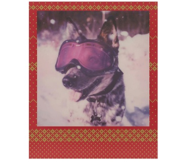 Polaroid 4931