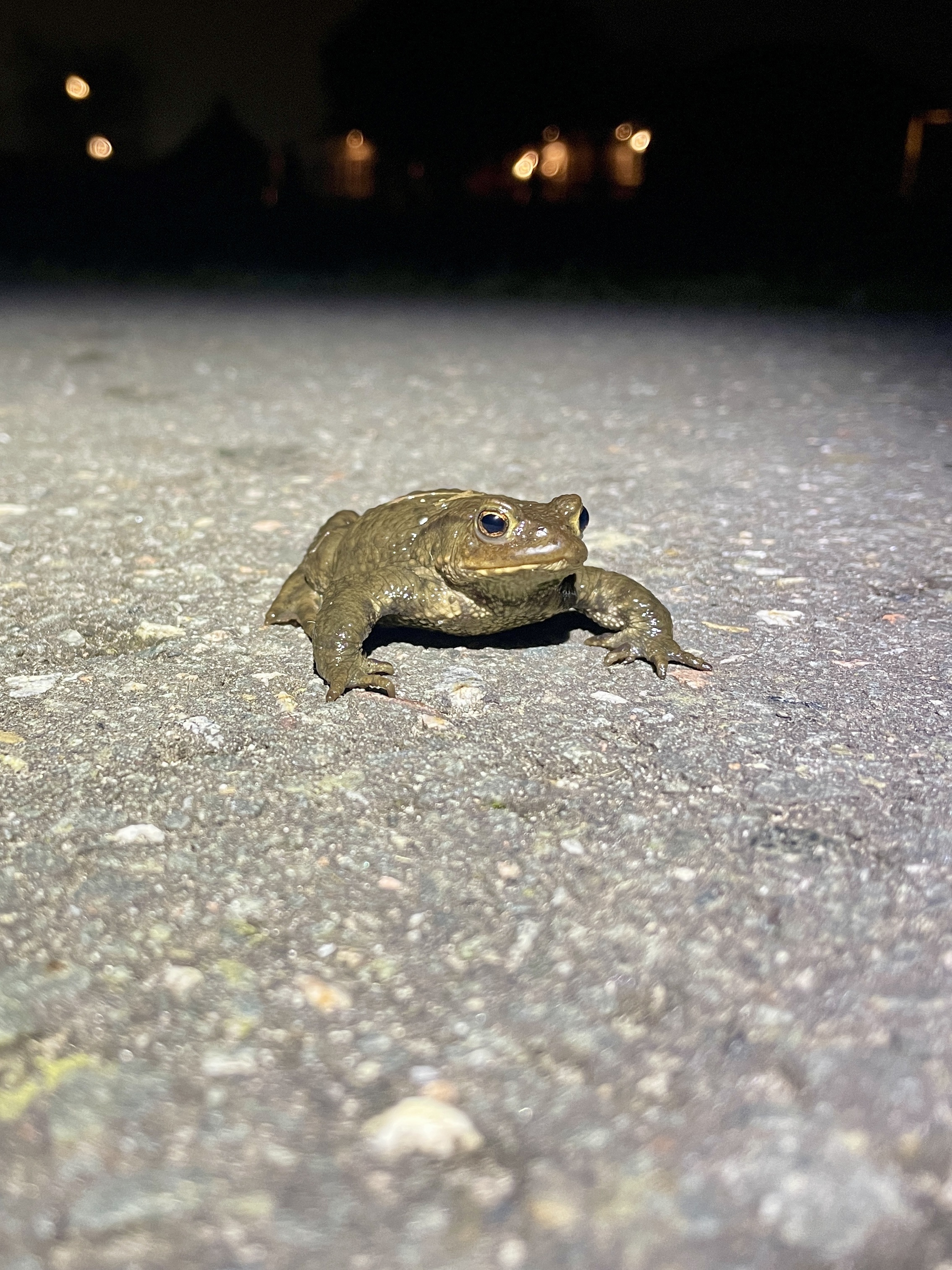 Afbeeldingslocatie: https://tweakers.net/i/WX1DFFDUIbtmg7KwL0si3c_B7qc=/fit-in/4920x3264/filters:max_bytes(3145728):no_upscale():strip_icc():strip_exif()/f/image/vkI8rWqxWwtkcDWqrpFriFSr.jpg?f=user_large