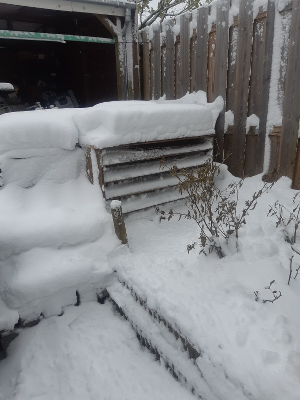 Afbeeldingslocatie: https://tweakers.net/i/WXeS-8UT3LprtAT6igGoVbh552c=/x800/filters:strip_icc():strip_exif()/f/image/hYiHmyOJnn2RJHEhr7UcqIcC.jpg?f=fotoalbum_large