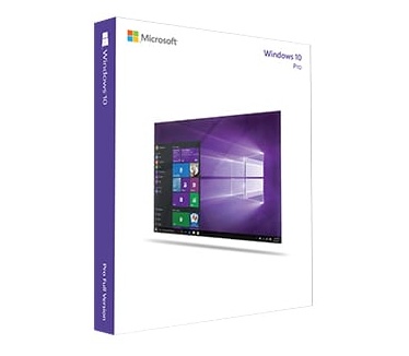 Microsoft Win Pro GGK 10 Win32 French 1pk DSP ORTOEI DVD