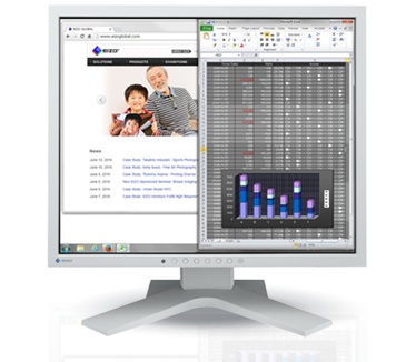 Eizo FlexScan S1934