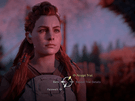 Horizon Zero Dawn
