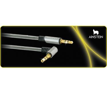 Schwaiger AIAU2010 413