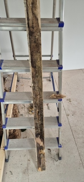 Afbeeldingslocatie: https://tweakers.net/i/WbnabtUMsvwTq0UZt2pY9NKBahQ=/fit-in/4920x3264/filters:max_bytes(3145728):no_upscale():strip_icc():strip_exif()/f/image/O3G8VTwVYnEUvwWZZHuObQN6.jpg?f=user_large