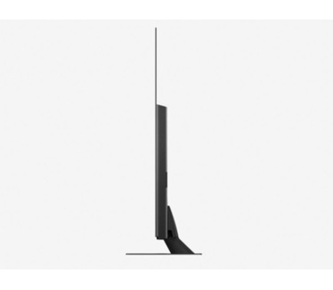 Panasonic TX-55FZW804 Zwart