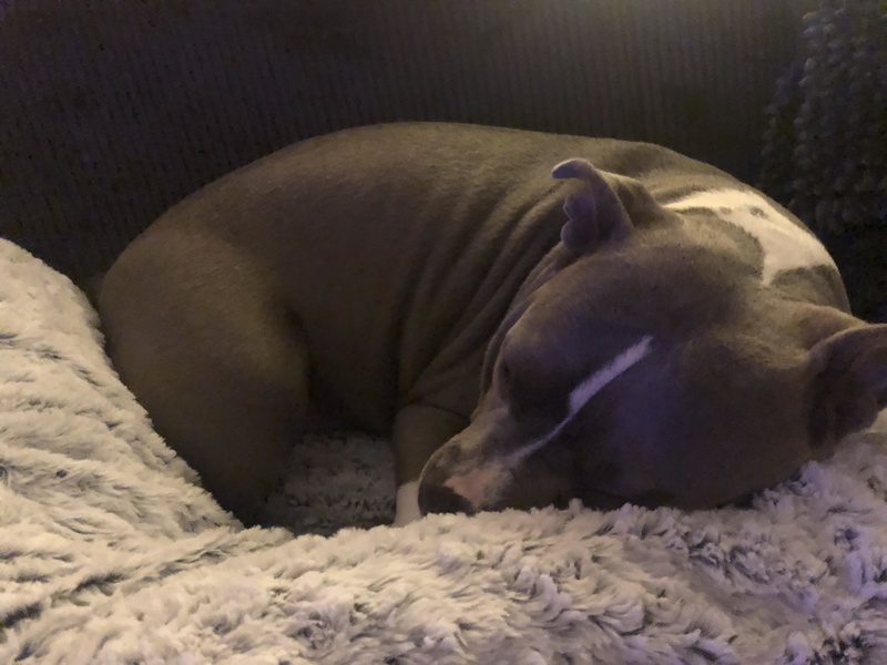 Afbeeldingslocatie: https://tweakers.net/i/Wghxxfn3BU6r9vK_206vlIpn6FI=/800x/filters:strip_icc():strip_exif()/f/image/OKsI5eCvwXyzDOflxK5XjUel.jpg?f=fotoalbum_large