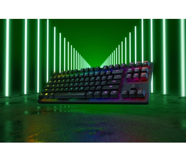 Razer Huntsman Tournament