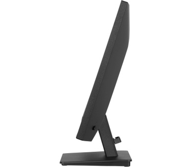 Iiyama X2491HS-B1