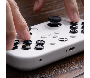 8Bitdo Lite SE