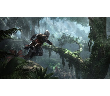 Assassin's Creed IV: Black Flag Skull Edition, PC