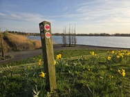 Xiaomi 17 Cameratest - Primair (overdag)