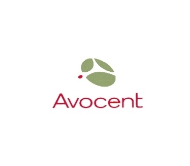 Avocent RJ-45F to DB-25M crossover adapter