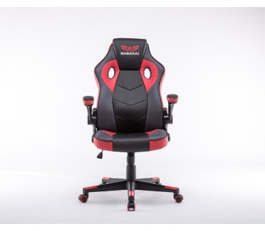 Banzaai Banzaai limited edition