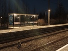 Nothing Phone (3a) en (3a) Pro cameratest - 2x zoom