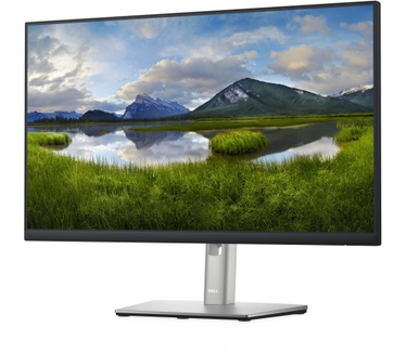 Dell P2422H