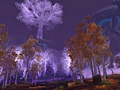World of Warcraft: Wrath of the Lich King - Crystalsong Forest