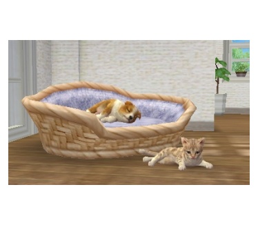 nintendogs + cats: Golden Retriever & New Friends