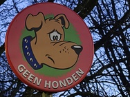 Cameratest Xiaomi 17 Ultra - Telecamera