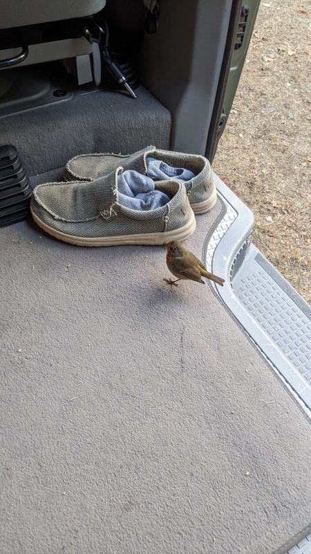 Afbeeldingslocatie: https://tweakers.net/i/WsZzuzWAY2sW5x04HopBBvJsCd8=/x800/filters:strip_icc():strip_exif()/f/image/PjLgfHLTVTa0yDhvM0BpXhX0.jpg?f=fotoalbum_large