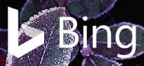 Bing logo