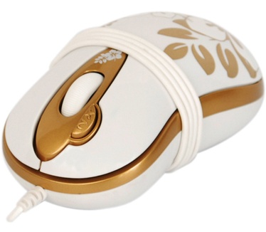 G-Cube Golden Sunrise (GLA-6SR)