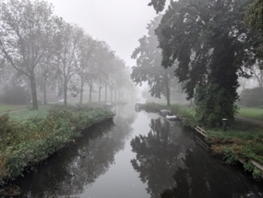 Afbeeldingslocatie: https://tweakers.net/i/WwEtW0B_4bgLPtHYPeEwZew6zZQ=/full-fit-in/4920x3264/filters:max_bytes(3145728):no_upscale():strip_icc():fill(white):strip_exif()/f/image/xWhCiLUN29mjT6nry4QcIdh2.jpg?f=user_large