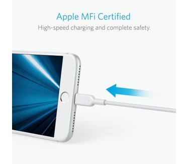 Anker PowerLine II 10ft Lightning (A8434021)