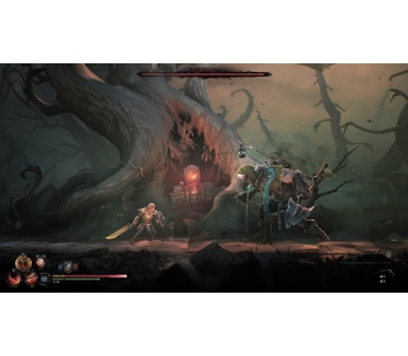 Mandragora: Whispers of the Witch Tree - Collector's Edition (Xbox Series X)