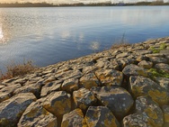 OnePlus 15 cameratest - Hoofdcamera overdag