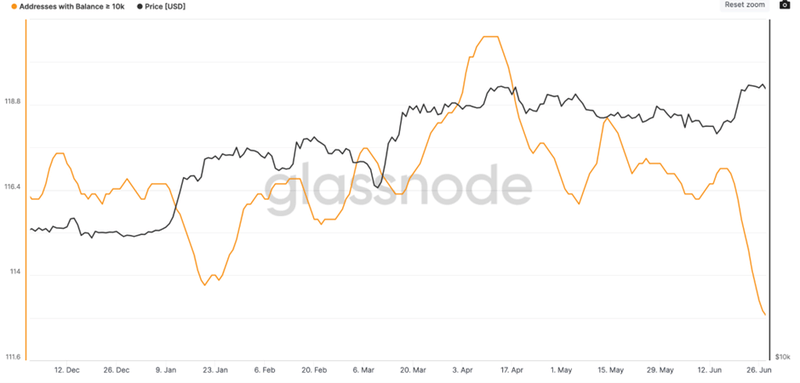 Afbeeldingslocatie: https://tweakers.net/i/Wy4XPCDLWopxNYQmTjw5PwIh5xc=/800x/filters:strip_exif()/f/image/7Xfti6FBLHbODCIsG8ppPYGO.png?f=fotoalbum_large