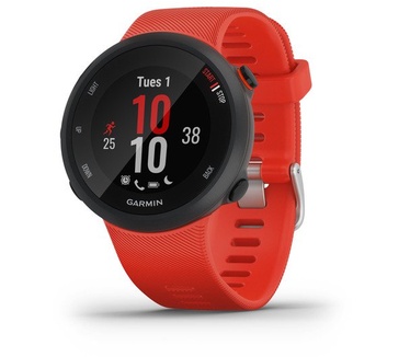 Garmin 45