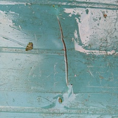 Afbeeldingslocatie: https://tweakers.net/i/X-2oiUfNxrdStXXQDbVz3JmbYFw=/232x232/filters:strip_icc():strip_exif()/f/image/rf5W3PKzs27AvaECkmTk661q.jpg?f=fotoalbum_tile