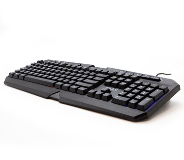 Iggual IGG317563