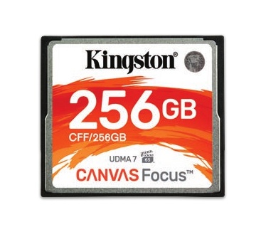 Kingston Canvas Focus