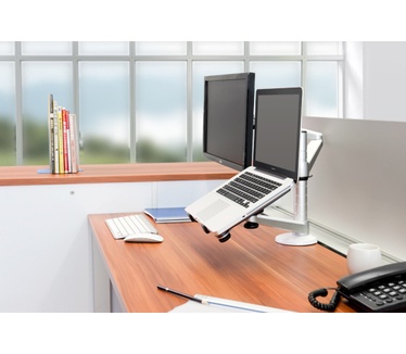 Newstar Flatscreen Desk Mount