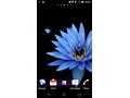 Preview Sony LT30p: Mobile-Review