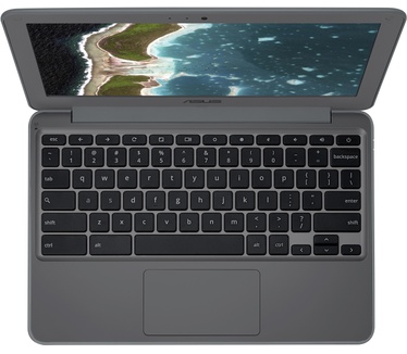 Asus Chromebook C202XA-GJ0041